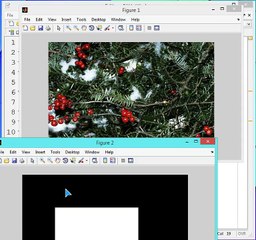 15 MATLAB WATERMARKING DEWATERMARKING