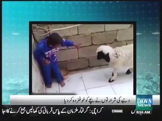 Download Video: Dumbay Ki Shararto Nay Bachay Ko Khufzada Kardiya