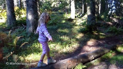 Gschwender Horn mit Abfahrt über Alpsee Coaster (Allgäu)