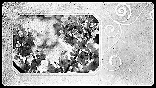 Dusica Bilkic - Zar ti ne kaze pesma stara