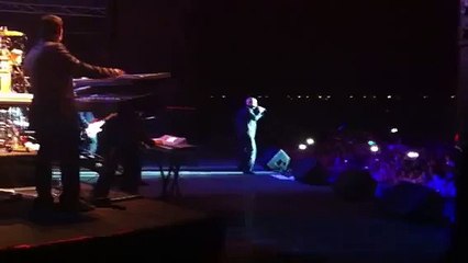 Pitbull Live- International Love Beale Street Music Festival