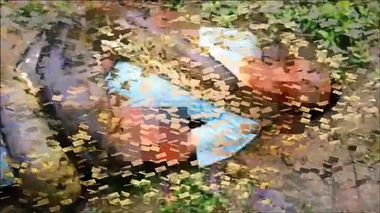 Anaconda vs Man