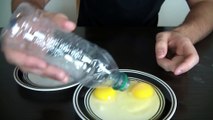 Amazing Science Experiments you can do with Eggs