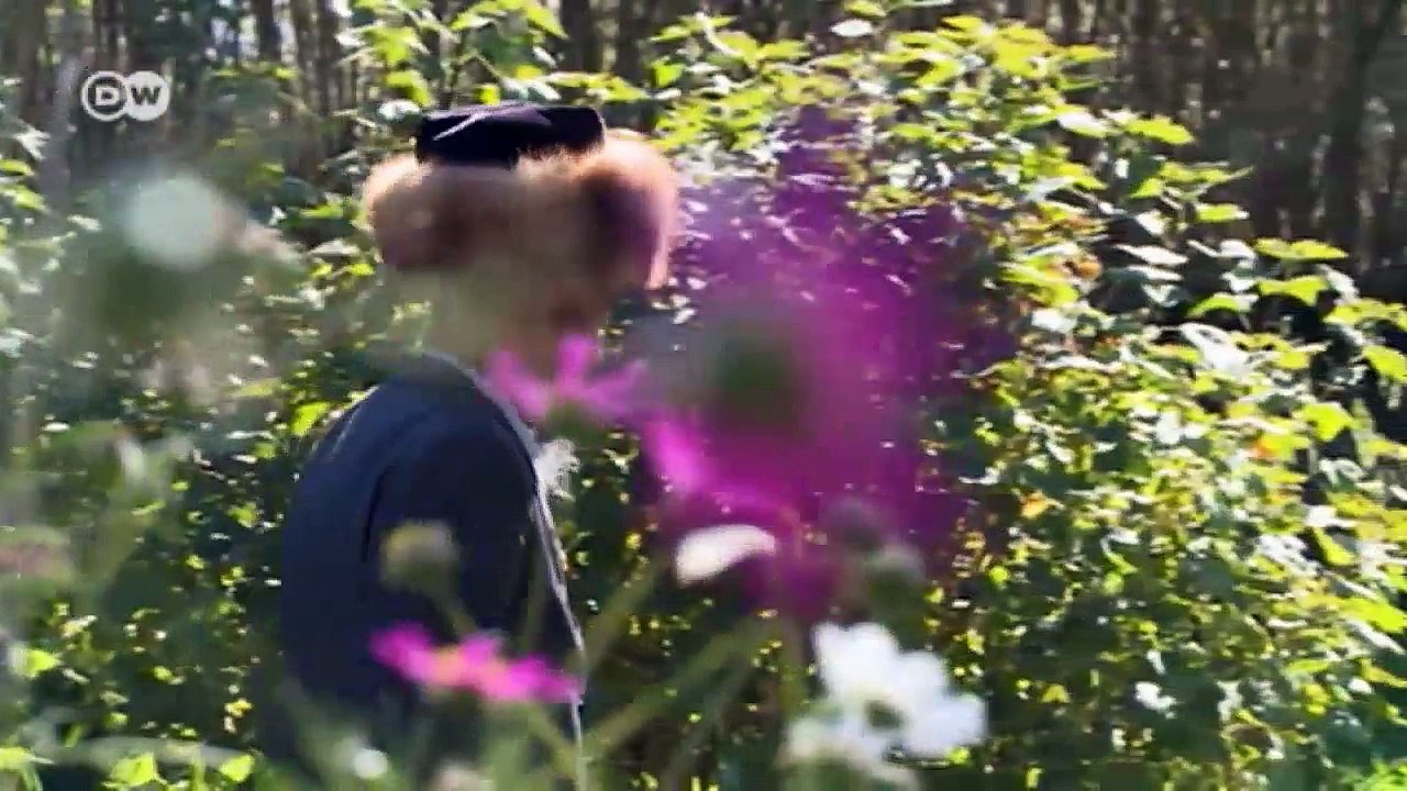 Gletscherschmelze auf dem Dach der Welt | Wissen & Umwelt