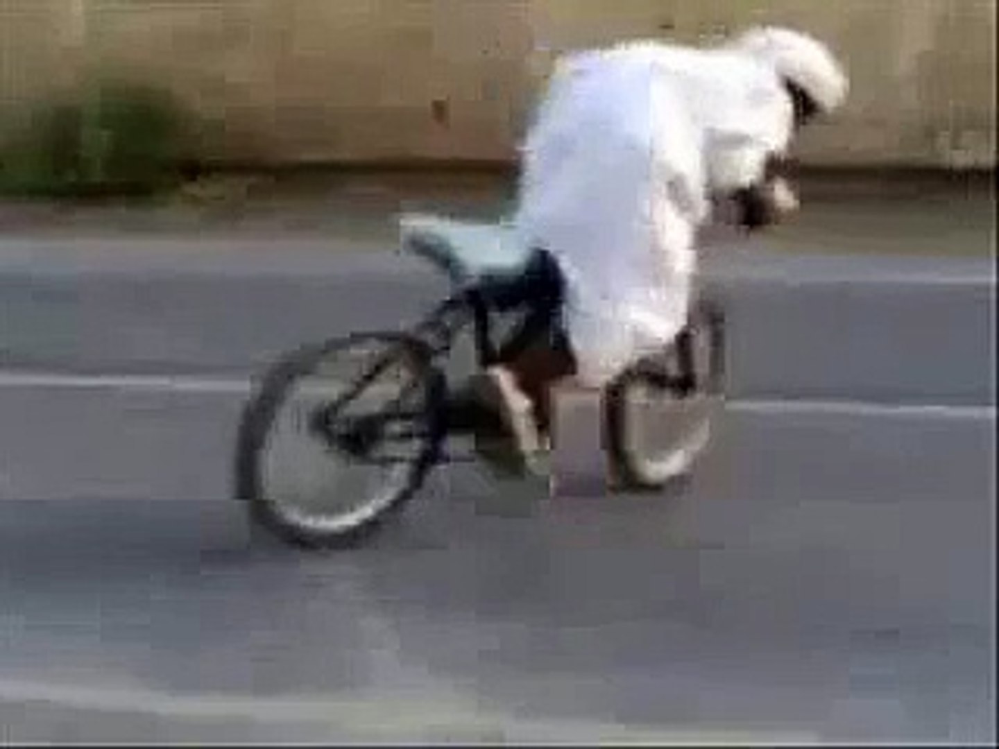 Arab funny gif