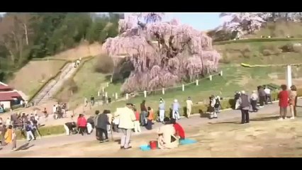 Best Documentary On Japan Deadly Disaster Shocking Must See !