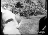 New Zealand Prepares for Japanese Invasion | 1941 | Documentary Film on New Zealand in Wor