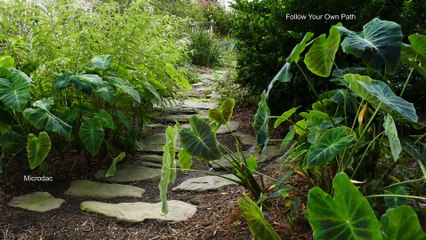 Micro Thoughts: Your Paths - Your decision.
