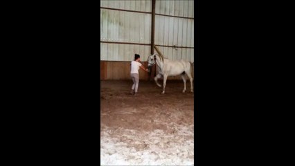 Apprentissage du pas espagnol