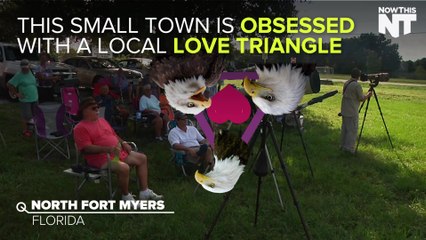 This Small Town Is Obsessed With An Eagle Love Triangle