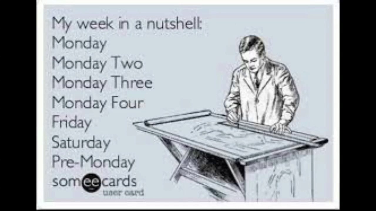 z57 Reviews Complaints Mondays Begin Right