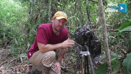 Crazy Camera Rig from Wildlife Photographer