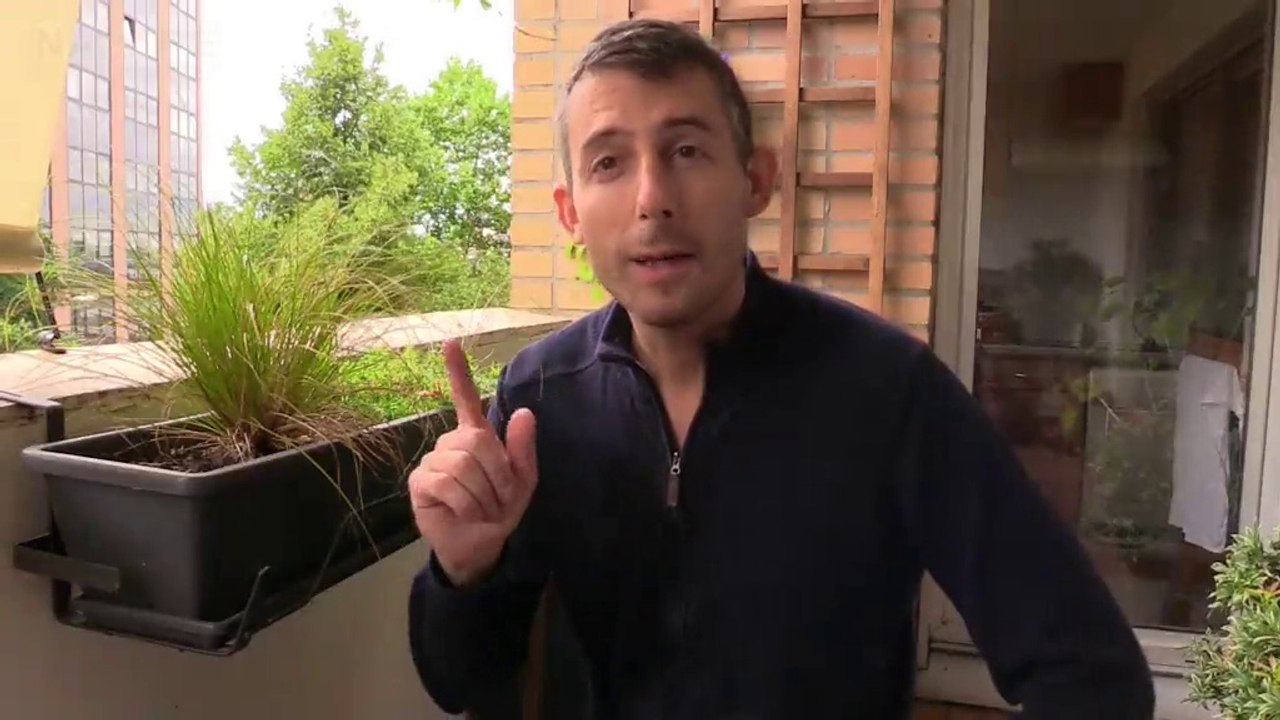 Piéride : savez-vous manger des choux ?!