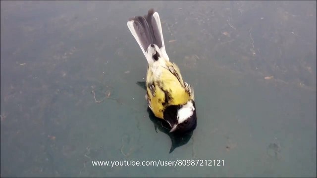 Как такое может быть)))