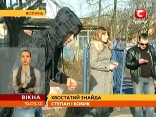 Пес 5 лет ждал хозяина на остановке и дождался!