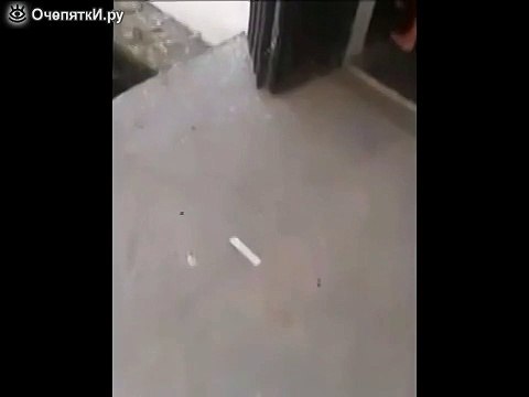 Как открыть пакет с сухариками, хитрости от детей)