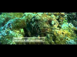 TV3 - Tria33 - Tria33 - capítol 89