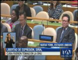 Libertad de expresión, Siria y Cuba fueron temas en la ONU