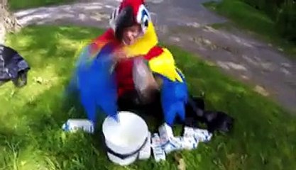 Explosive Bird Poop On Girlfriend Prank - Video Dailymotion