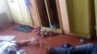 LiveLeak.com - Don't use what they use - Russian drug addicts also entertain today (+great & short compilation)