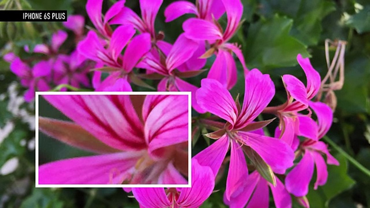 Camera shootout- iPhone 6S vs. Galaxy S6 vs. LG G4 -