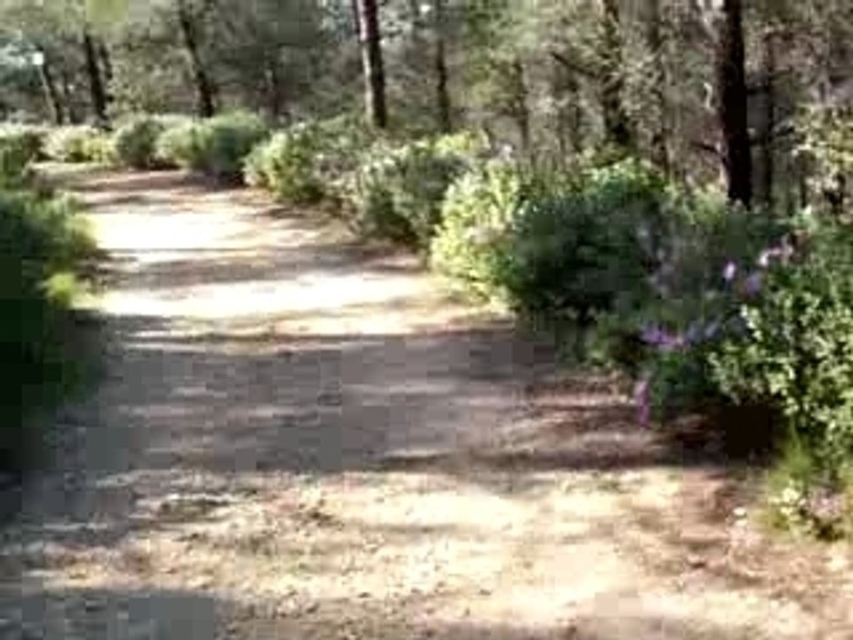 VTT en cistaie