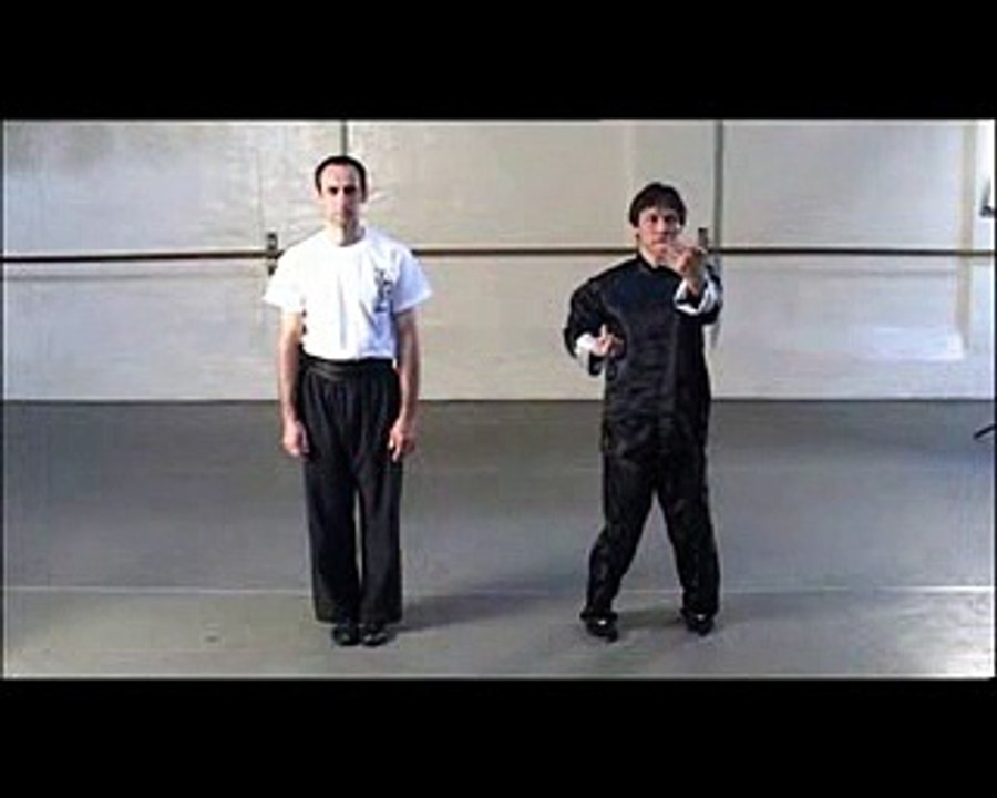 Wing Chun Compilation Sampler - Sifu Austin Goh