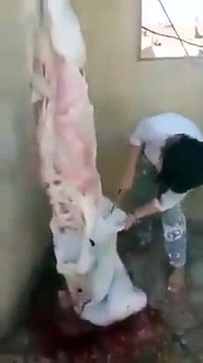 qasai na milny pr hot larki khud he qasi ban gai