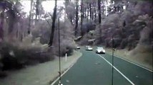 Driver Encounters Falling Trees