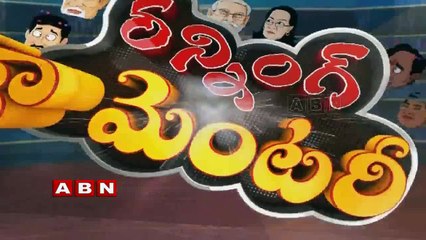 Beautiful Peacocks in Khammam District Running commentary