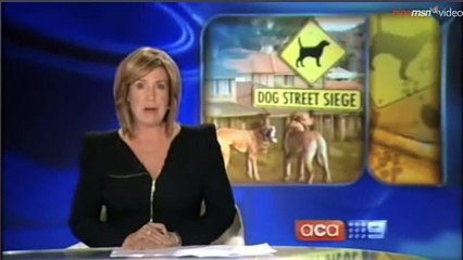 Psycho Dog Man - Original - Latest