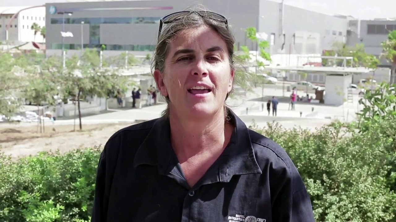 Une rare mosaïque byzantine bientôt dévoilée au public en Israël