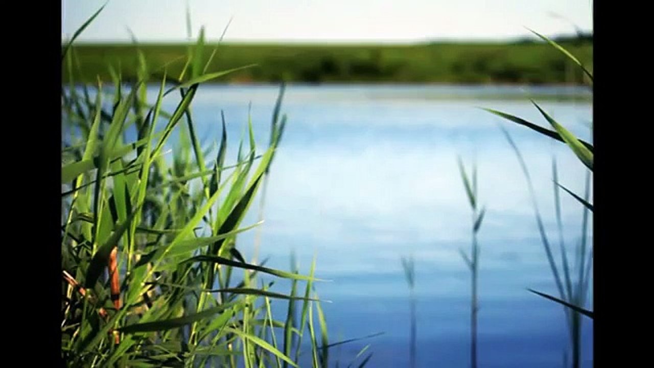 Вячеслав Малежи Любовь-река