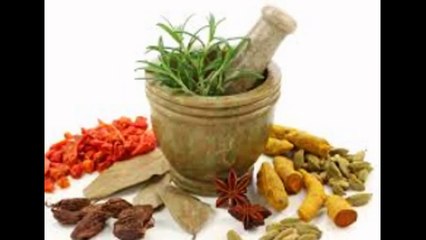 Top wellness supplements