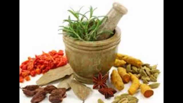 Top wellness supplements