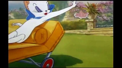 Tom And Jerry Cartoon 023 Springtime For Thomas 1945 HD