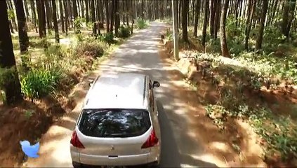 Test Drive Peugeot 3008, The Ride Guide 27 September 2015