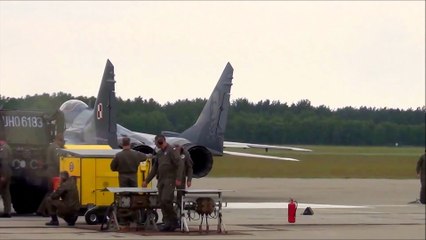 MiG-29 Fulcrum PolAF Display