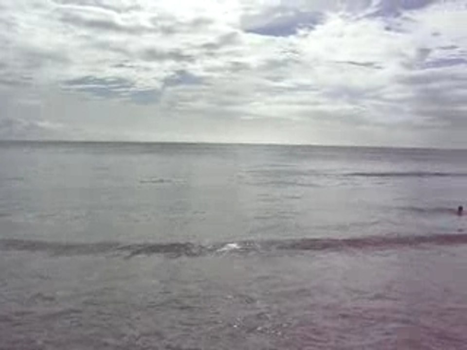 plage des salines martinique 2006