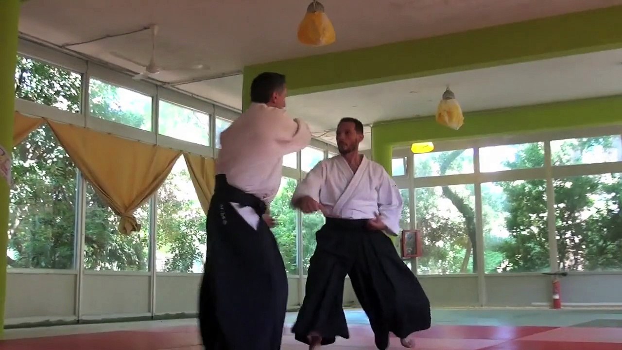 Best of 2015 Michel Erb Sensei Part 2