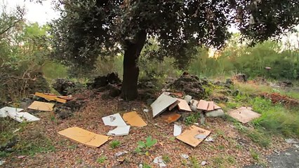 Dumped waste litters Mount Etna site