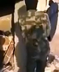 FUNNY Chechen Fighting Driving Assad Regime Crazy