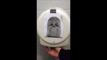 Toilet Paper makes Chewbacca Grawl and it's hilarious