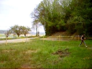 Quartz dans le rond de longe (1)