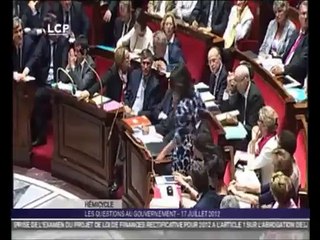 Cécile Duflot huée à l'assemblée Nationale à cause de sa robe