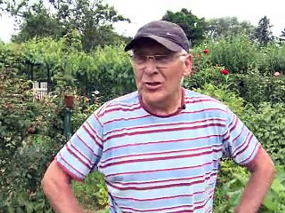 Des petits jardins coincés dans le béton pour le plaisir et contre la crise