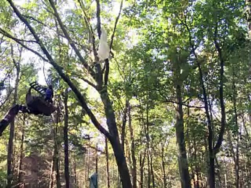 Notre-Dame-des-Landes: les opposants à l'aéroport poursuivis dans les arbres