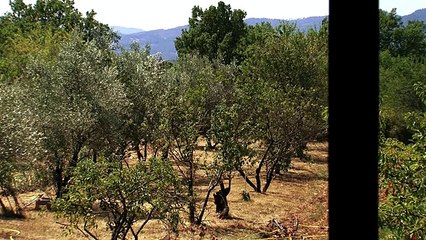 Pierre Rabhi, Au Nom de la Terre