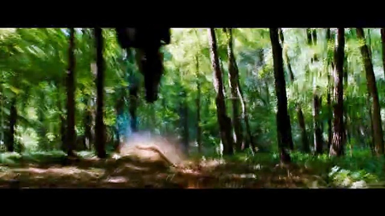The Place Beyond The Pines