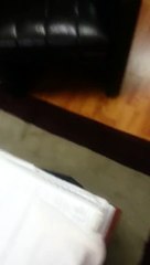 Un haut fonctionnaire en caleçon dans son bureau